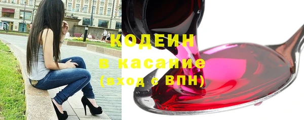 прущая мука Корсаков